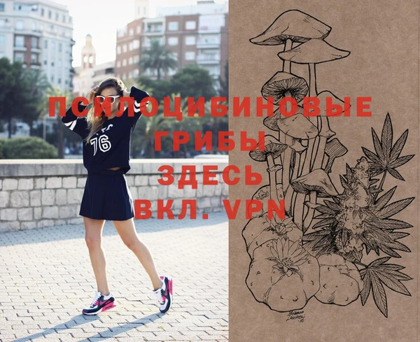 тгк Арсеньев