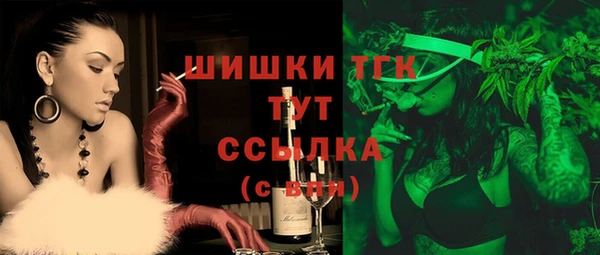 прущие грибы Аркадак