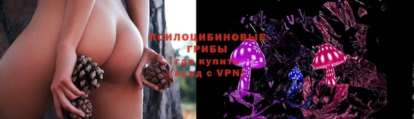 тгк Арсеньев