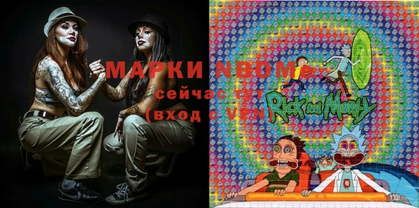 прущие грибы Аркадак