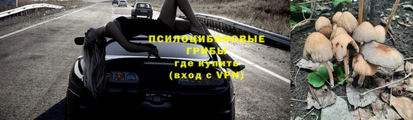 apvp Алзамай