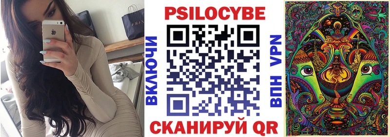Галлюциногенные грибы MAGIC MUSHROOMS  где купить наркоту  Приволжск 